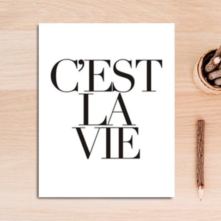 C'est La Vie - Canvas Wall Art Painting | Bowlift