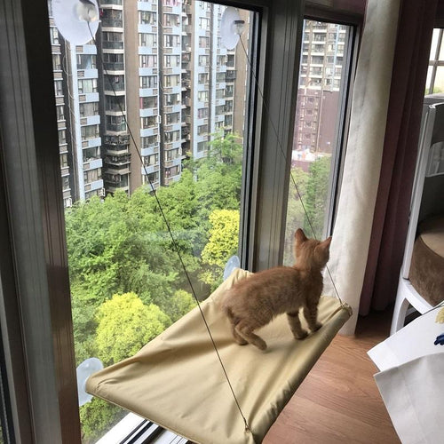 Otis - Window Hammock Hanging Shelf Cat Bed | Bowlift