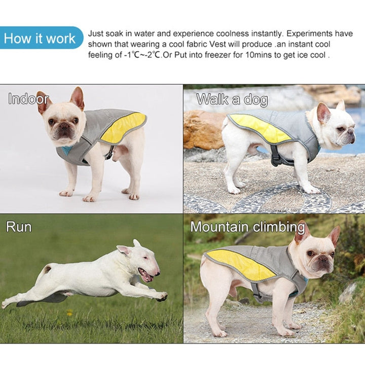 Coolify™ : Cooling Vest for Frenchie (CS13) | Bowlift