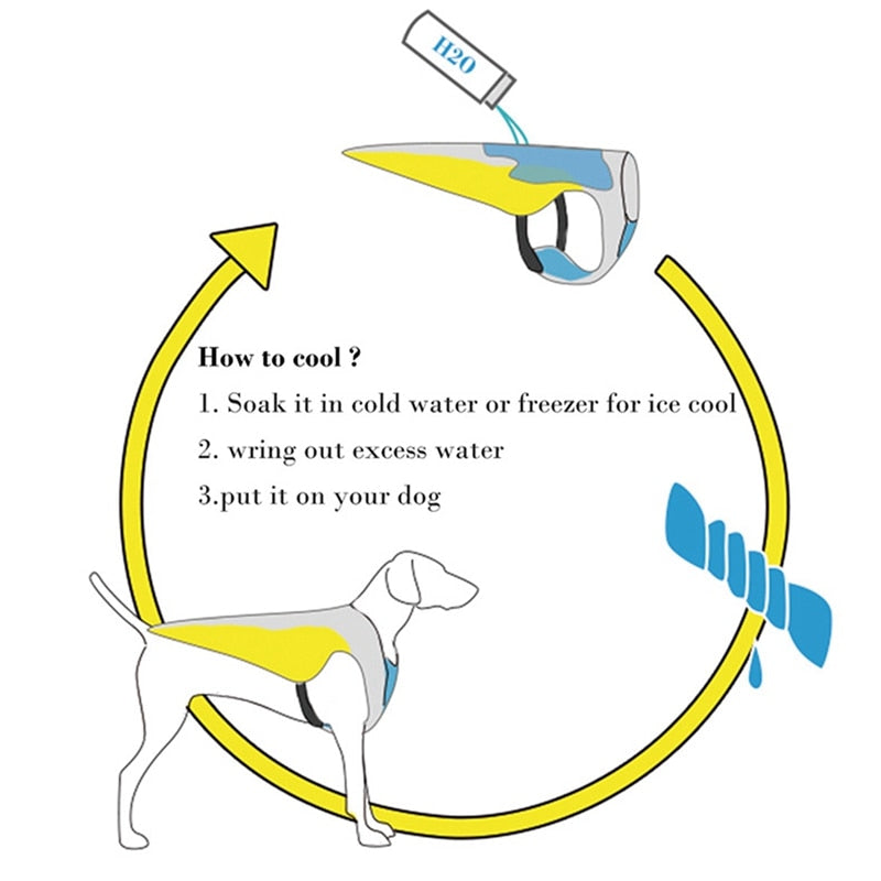 Coolify™ : Cooling Vest for Frenchie (CS13) | Bowlift