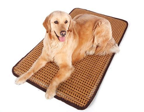 Baxter - Summer Time Cooling Pet Mat | Bowlift