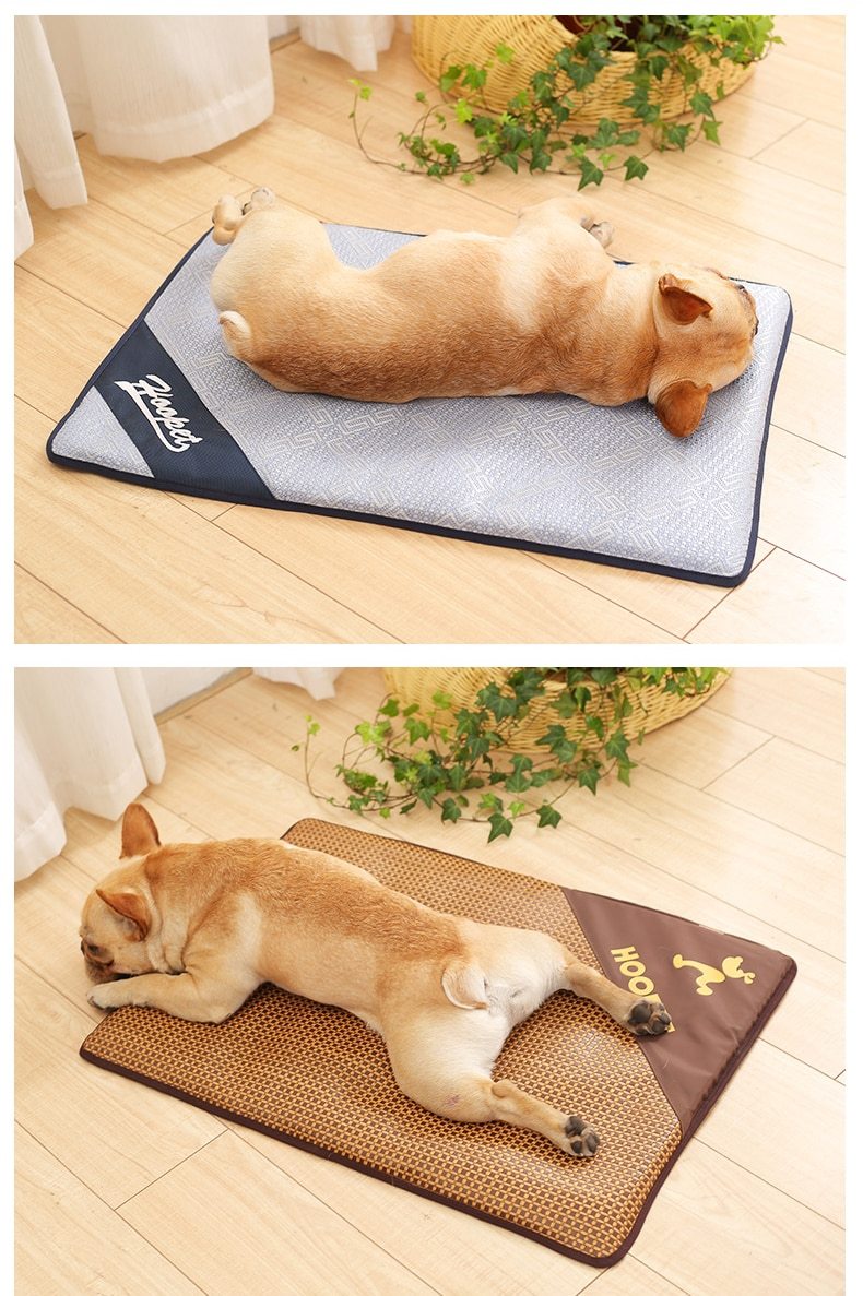 Baxter - Summer Time Cooling Pet Mat | Bowlift