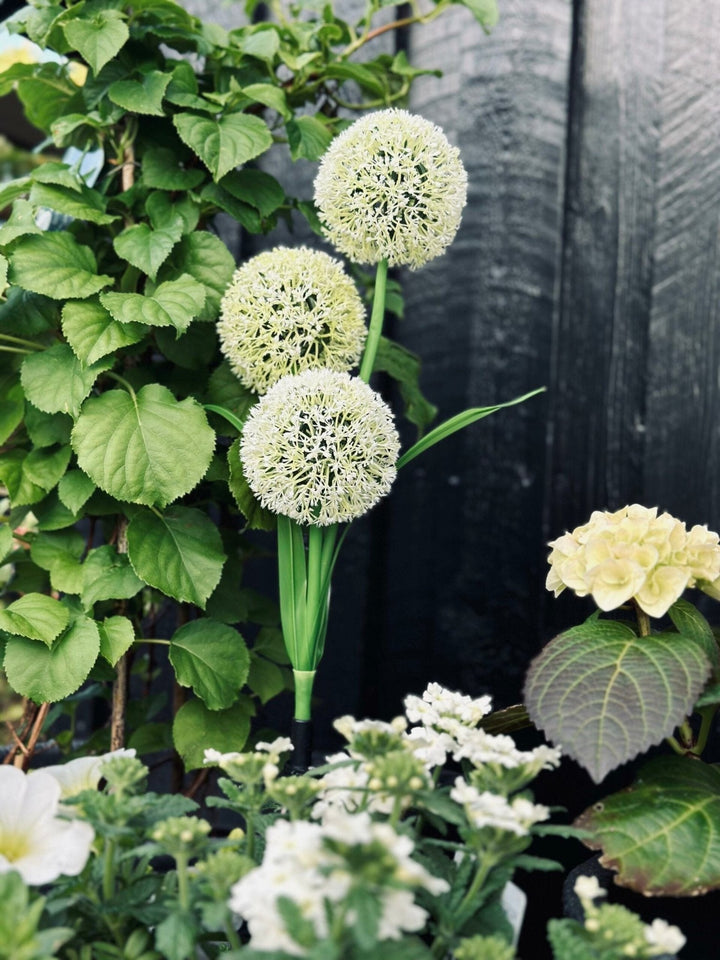 BowLift | SolarBloom – Magical light for your garden