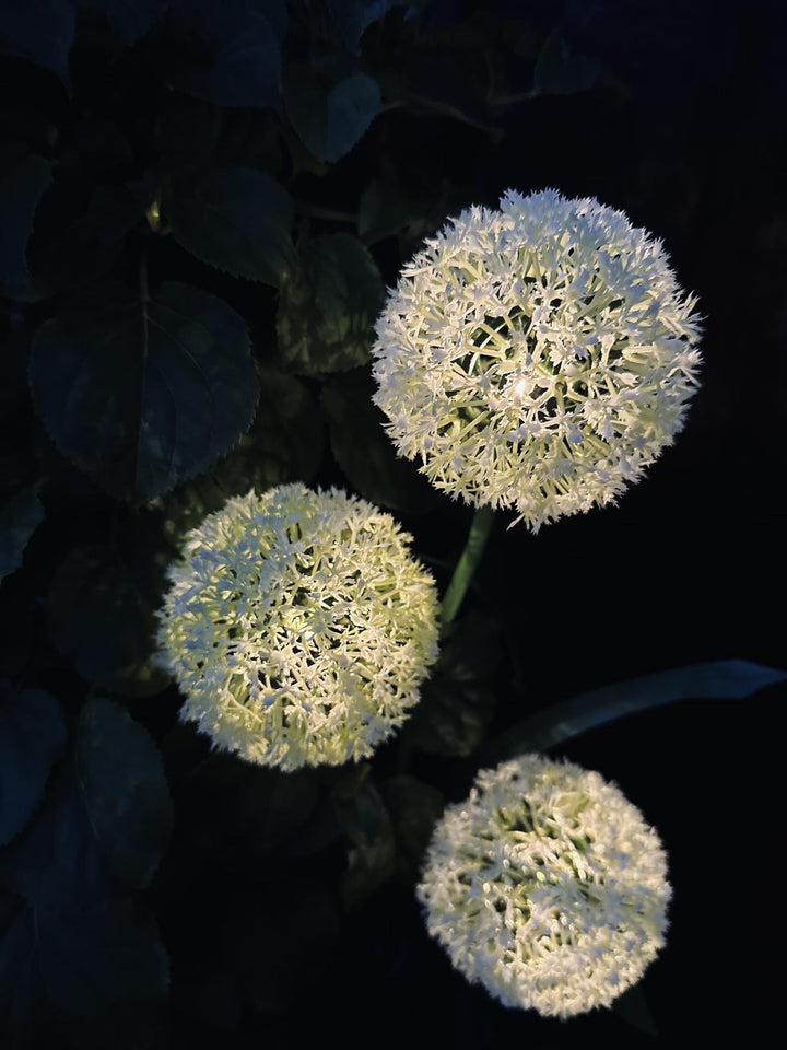 BowLift | SolarBloom – Magical light for your garden