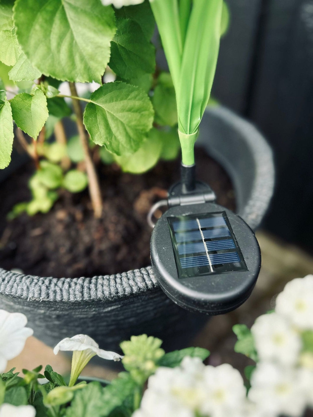 BowLift | SolarBloom – Magical light for your garden