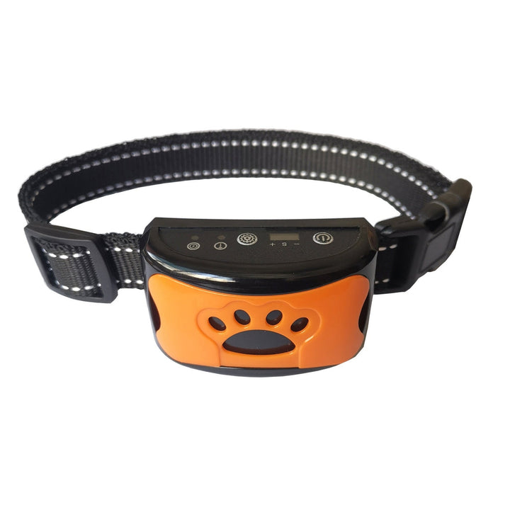 BowLift | Harmony and comfort for four-legged friends