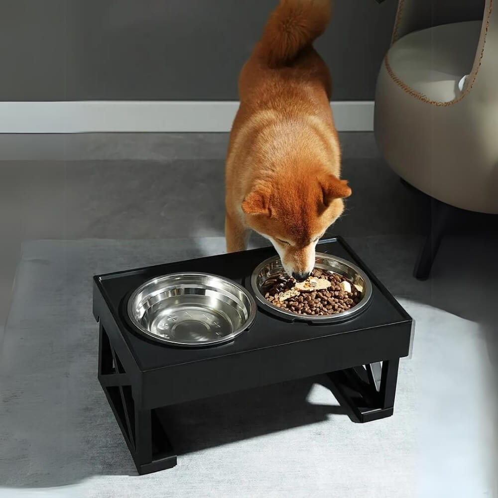 BowLift | PupLift Elevated Dog Bowl – Ergonomic & Slow Feeding for Healthy Meals