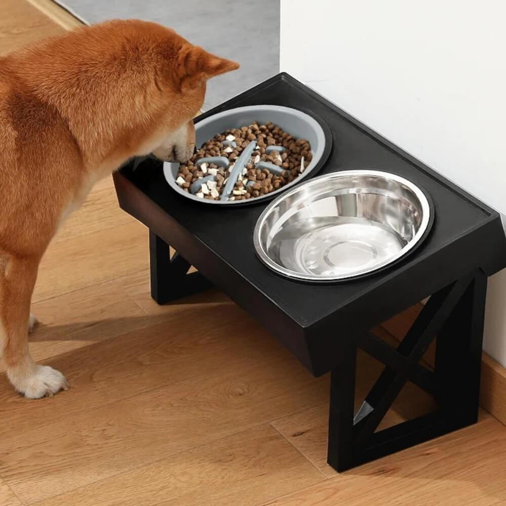 PupLift Raised Dog Bowl – Ergonomic & Slow Feeding for Healthy Meals | Bowlift