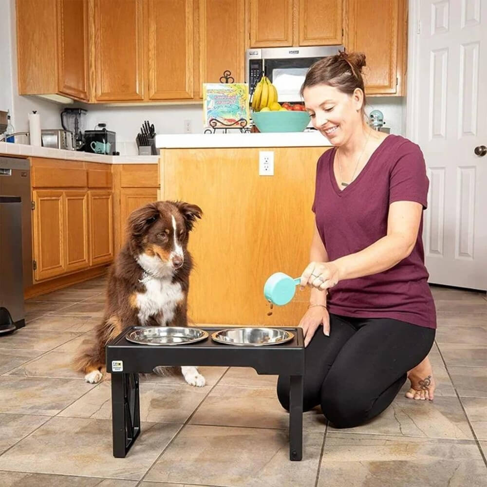 PupLift Elevated Dog Bowl – Ergonomic & Slow Feeding for Healthy Meals | Bowlift