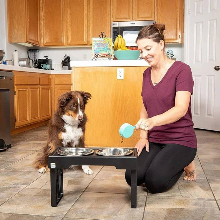PupLift Raised Dog Bowl – Ergonomic & Slow Feeding for Healthy Meals | Bowlift