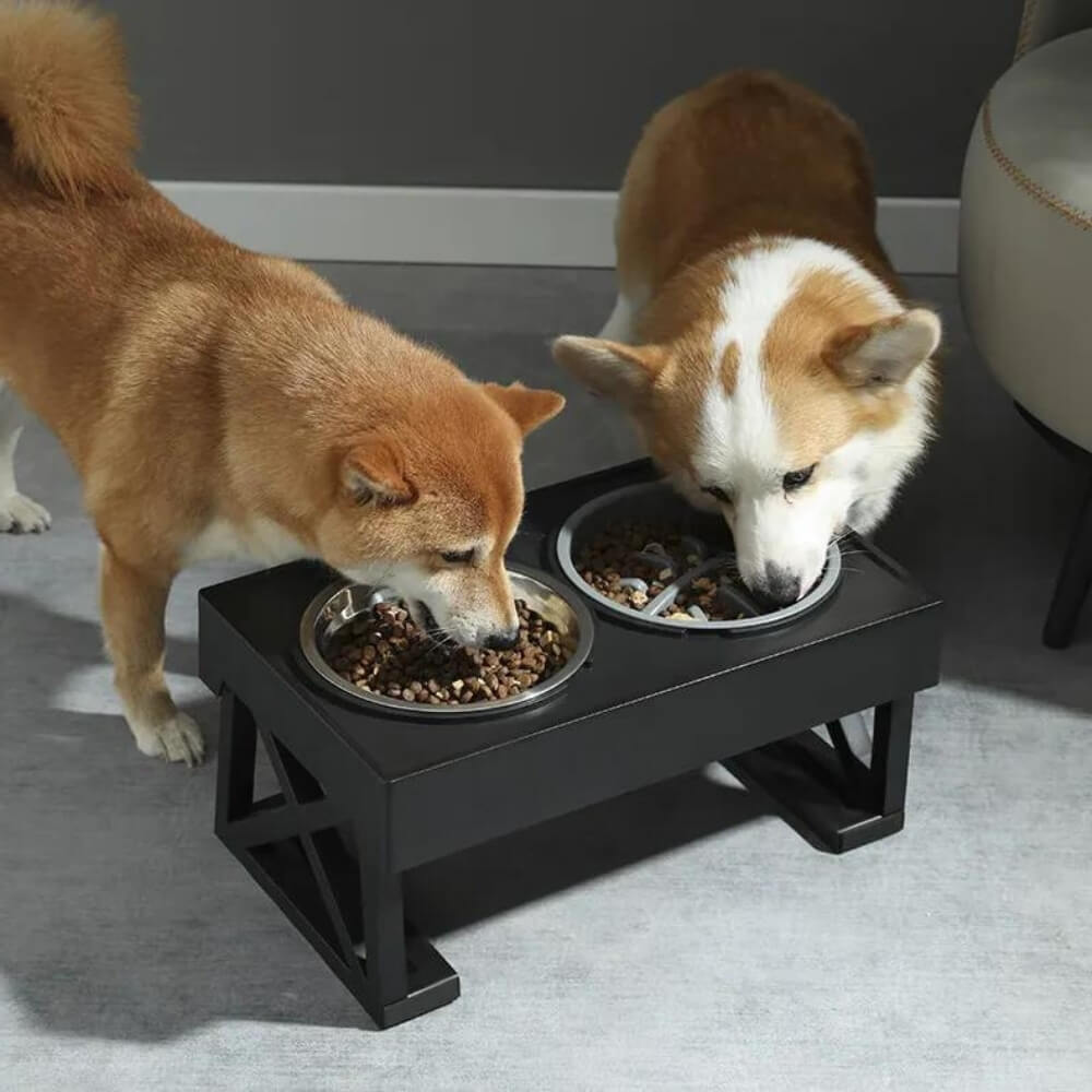 PupLift Raised Dog Bowl – Ergonomic & Slow Feeding for Healthy Meals | Bowlift
