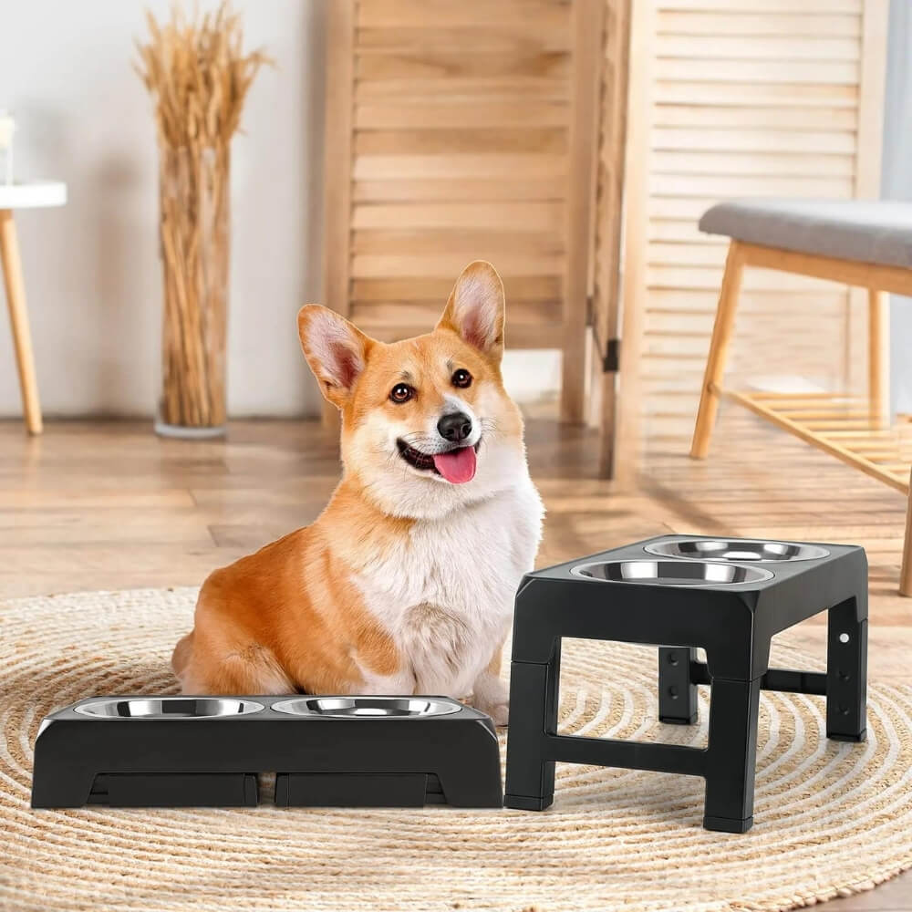 PupLift Elevated Dog Bowl – Ergonomic & Slow Feeding for Healthy Meals | Bowlift