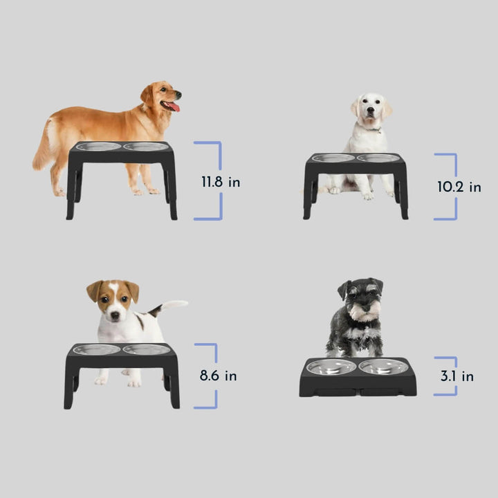 PupLift Raised Dog Bowl – Ergonomic & Slow Feeding for Healthy Meals | Bowlift
