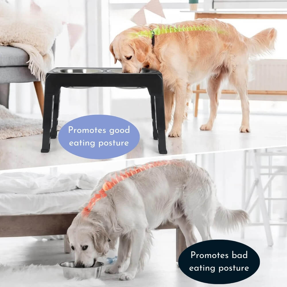 PupLift Elevated Dog Bowl – Ergonomic & Slow Feeding for Healthy Meals | Bowlift