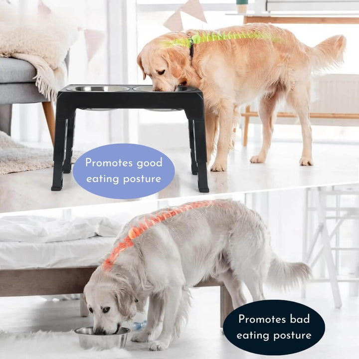 PupLift Raised Dog Bowl – Ergonomic & Slow Feeding for Healthy Meals | Bowlift