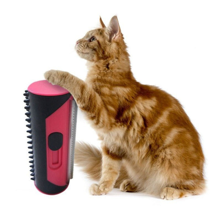 BowLift | Puppy Cleaning Brush GreatGroomer