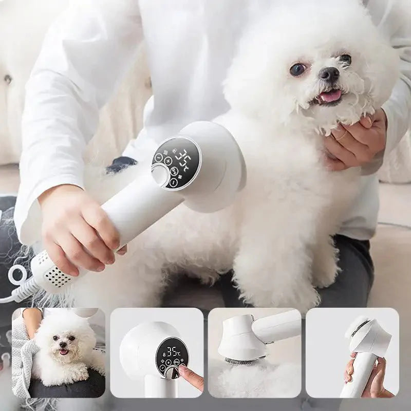 BowLift | PURRFECTDry – Quiet 2-in-1 Pet Dryer and Brush for Stress-Free Grooming