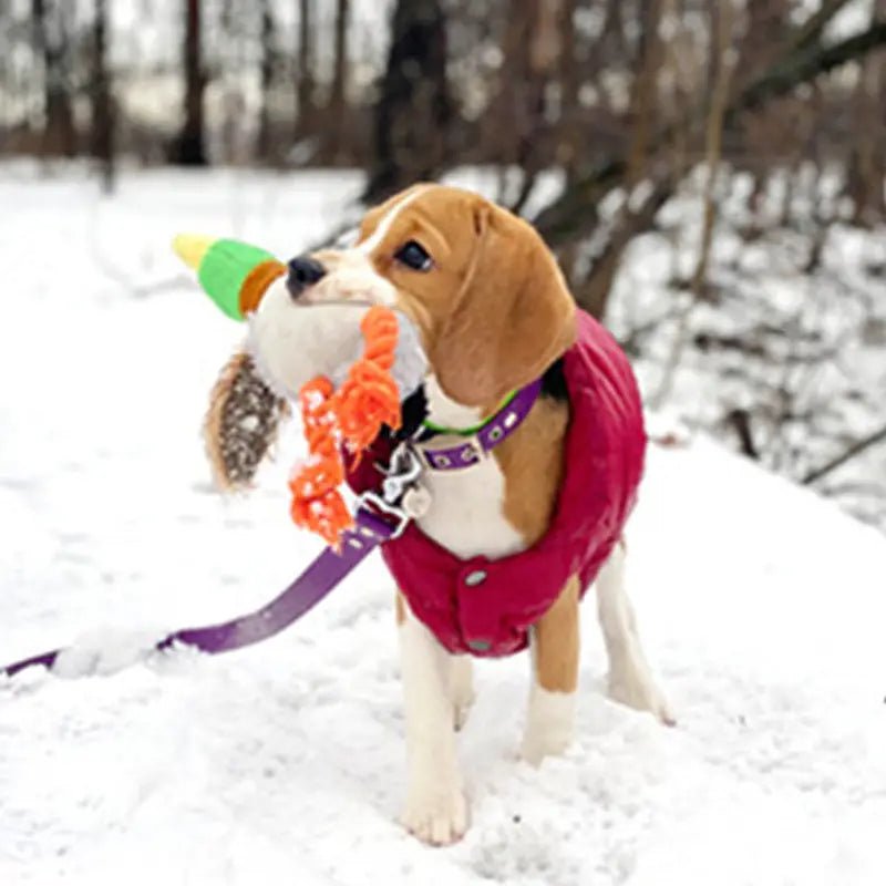 QuackPlush • Duck Dog Toy - Duck Dog Toy - BowLift