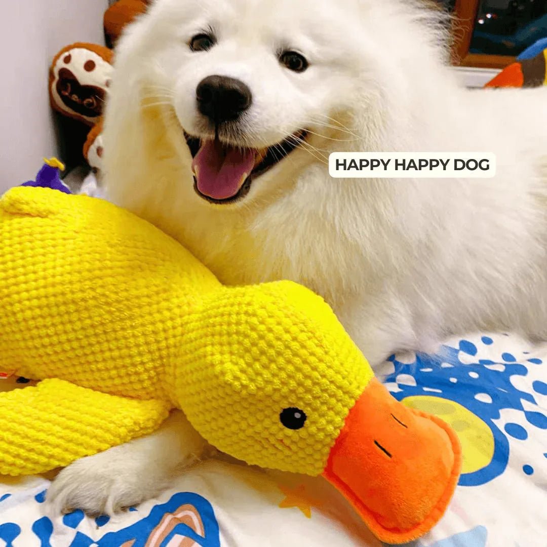 QuackyPaws • The Calming Duck - Calming Duck Dog Toy - BowLift