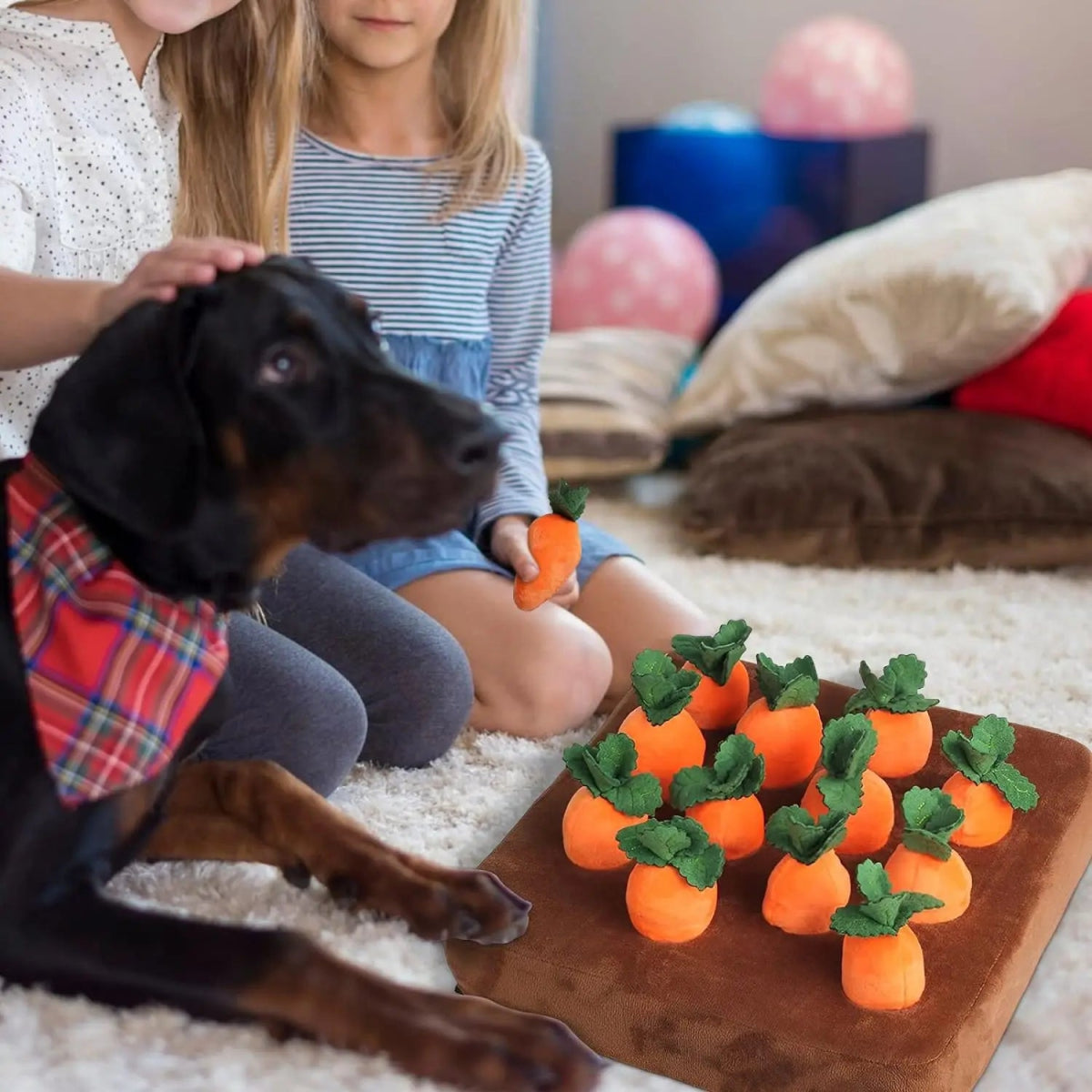 RadishPaws • Dog Snuffle Mat - Dog Snuffle Mat - BowLift