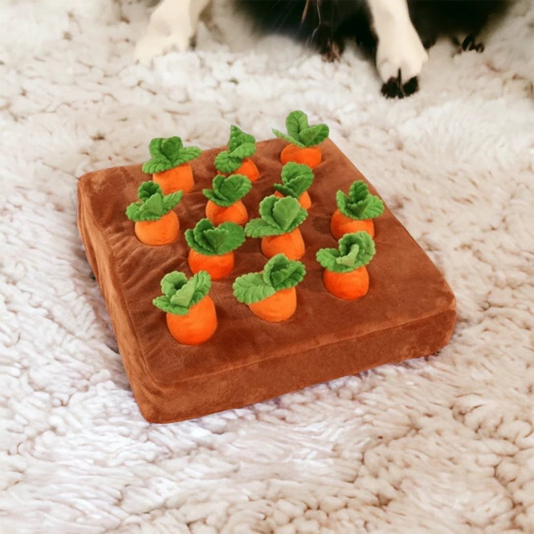 RadishPaws • Dog Snuffle Mat - Dog Snuffle Mat - BowLift