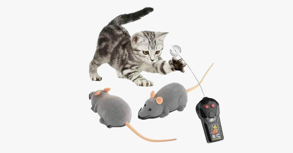 BowLift | Electronic RC Rat Mouse Toy for Pet Cats
