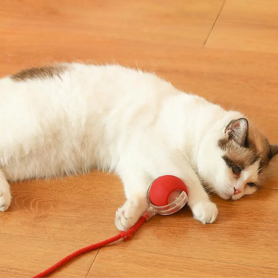 BowLift | Interactive Rolling Ball Toy with Tail for Cats