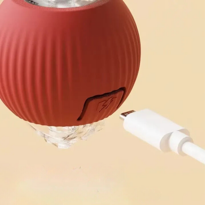 BowLift | Interactive Rolling Ball Toy with Tail for Dogs