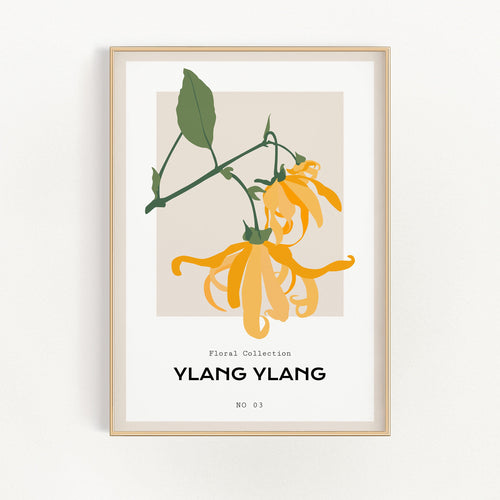 Ylang Ylang | Bowlift