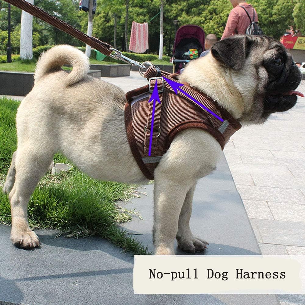 ReflectaHarness • No Pull Dog Harness - No Pull Dog Harness - BowLift