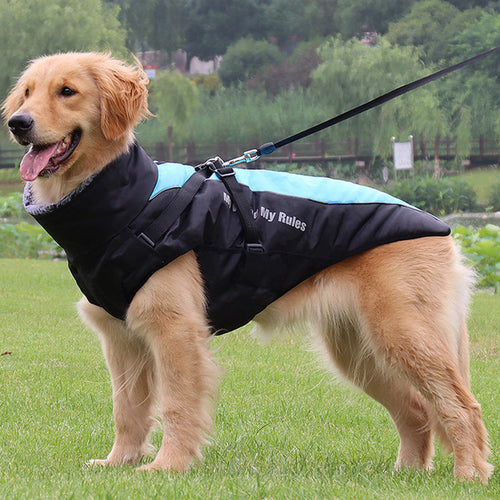 Reflective Dog Jacket with Harness - GlowPaw™ Bowlift