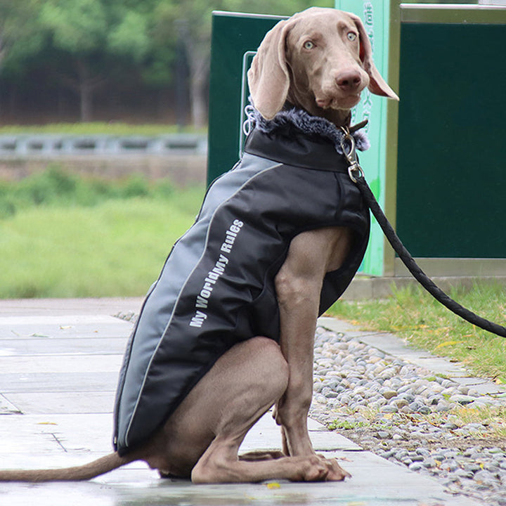 Reflective Dog Jacket with Harness - GlowPaw™ Bowlift