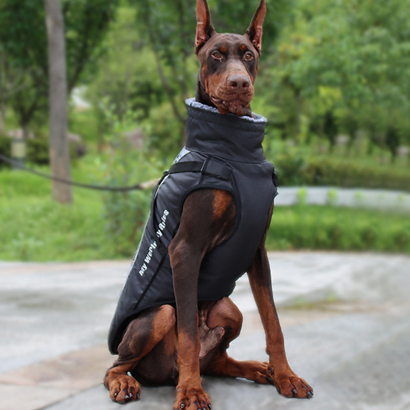 Reflective Dog Jacket with Harness - GlowPaw™ Bowlift