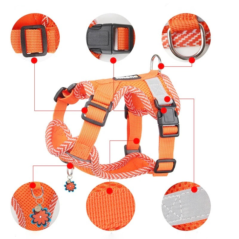 Reflective Harness and Leash Set for Small Dogs - AirFlex Bowlift