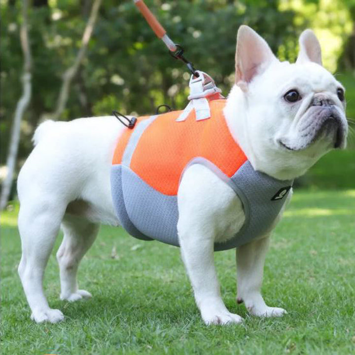 Frenchie Summer Reflective Cooling Vest | Bowlift