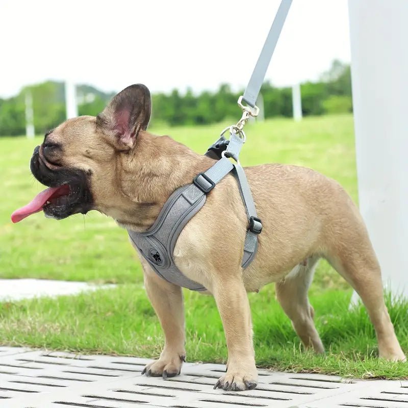 ReflectoLeash • No Pull Dog Harness - No Pull Dog Harness - BowLift