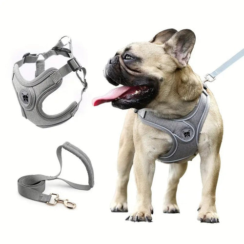 ReflectoLeash •  No Pull Dog Harness