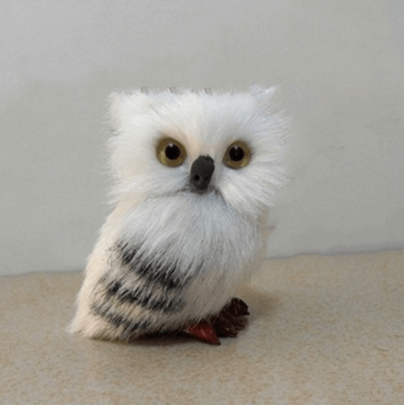 Cute Owl Home Decor | Bowlift