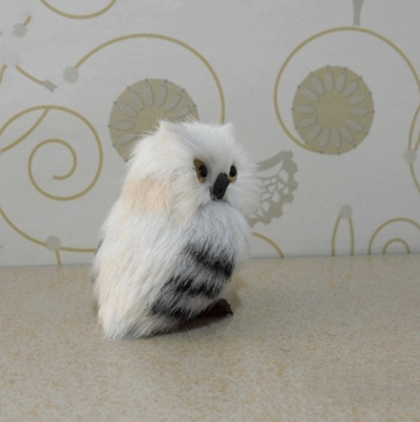 Cute Owl Home Decor | Bowlift