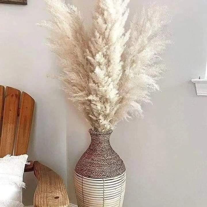 BowLift | 1.5M Pampas grass