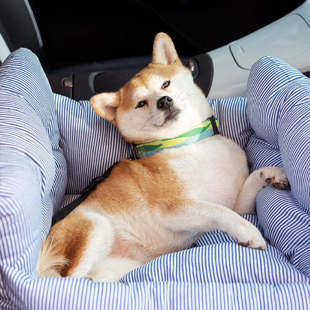 RoadTrip Pet Bolster - Pet Car Seat Bowlift