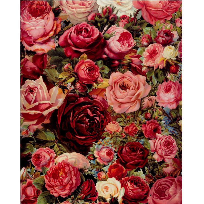Rose Universe - Van-Go Paint-By-Number Kit | Bowlift