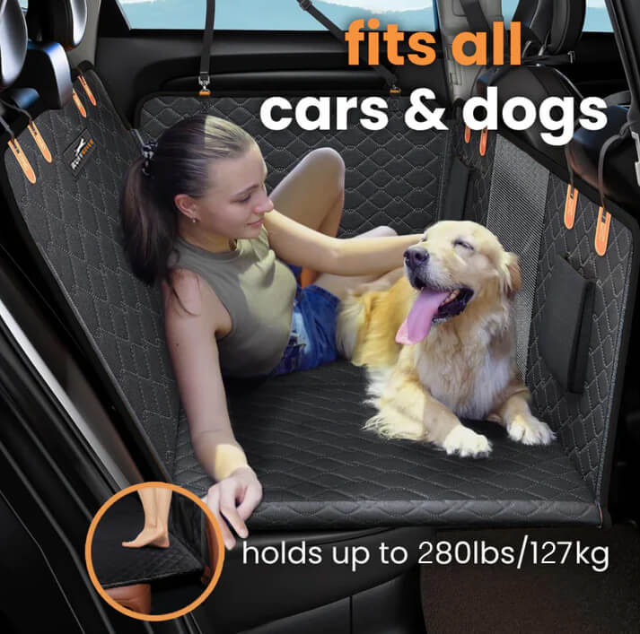 BowLift | DogBench | Travel peacefully with your dog