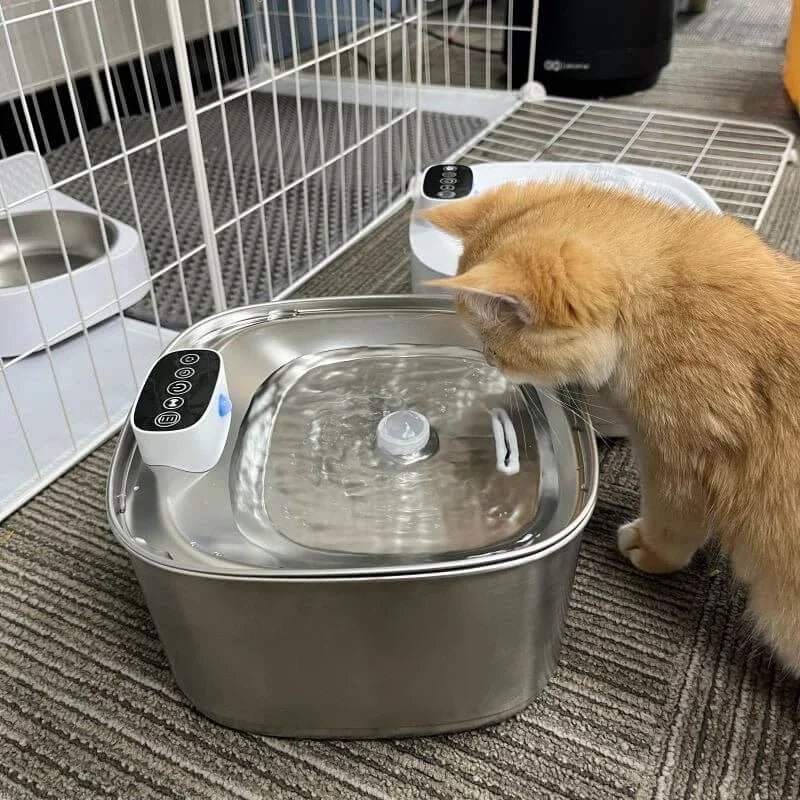 BowLift | Smart Drink Fountain for Cats and Dogs – 3.2L Stainless Steel with Filter