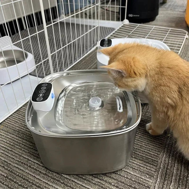 Smart Drinking Fountain for Cats and Dogs – 3.2L Stainless Steel with Filter | Bowlift