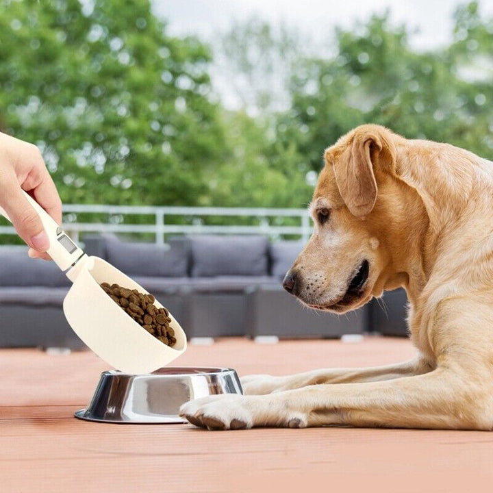 BowLift | Digital Display Pet Food Scale