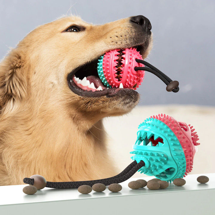 Durable Tug Toy for Dogs – PowerPaw Bowlift