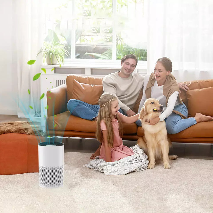 BowLift | Compact Air Purifier | True HEPA Filter, Ultra-Quiet & Ideal for Small to Medium Rooms