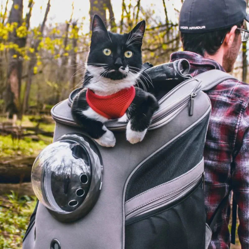 Cat Travel Bag – PurrTrek Bowlift