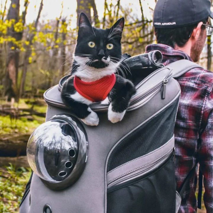 Cat Travel Bag – PurrTrek Bowlift